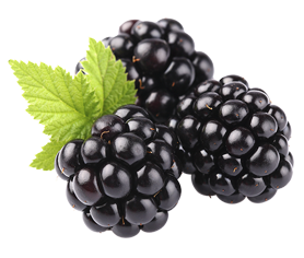 blackberry