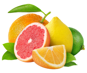 citrus