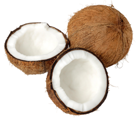 coconut