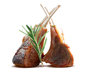 lamb