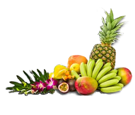 tropical