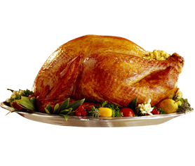 turkey