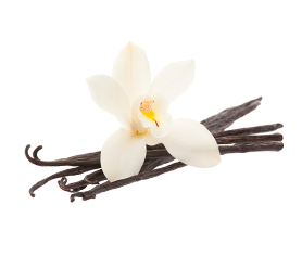 vanilla